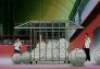 Kare Kano (Él y Ella): Episodio 23